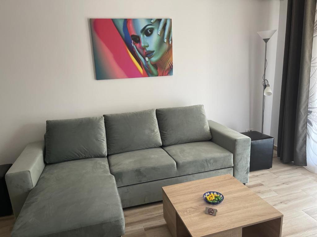 Bonte Residence Str Daliei Nr 3 Giroc Buitenkant foto